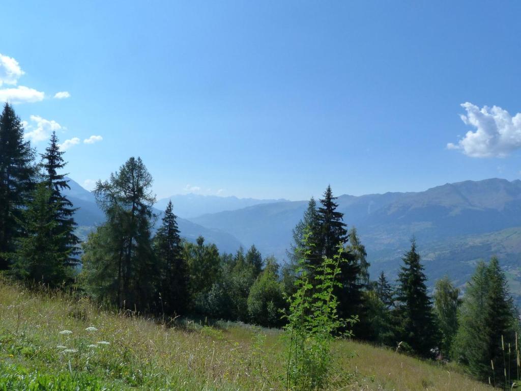 Appartement 2 pièces pour 5, près des pistes à Arc 1800, parking optionnel - FR-1-411-205 - 4