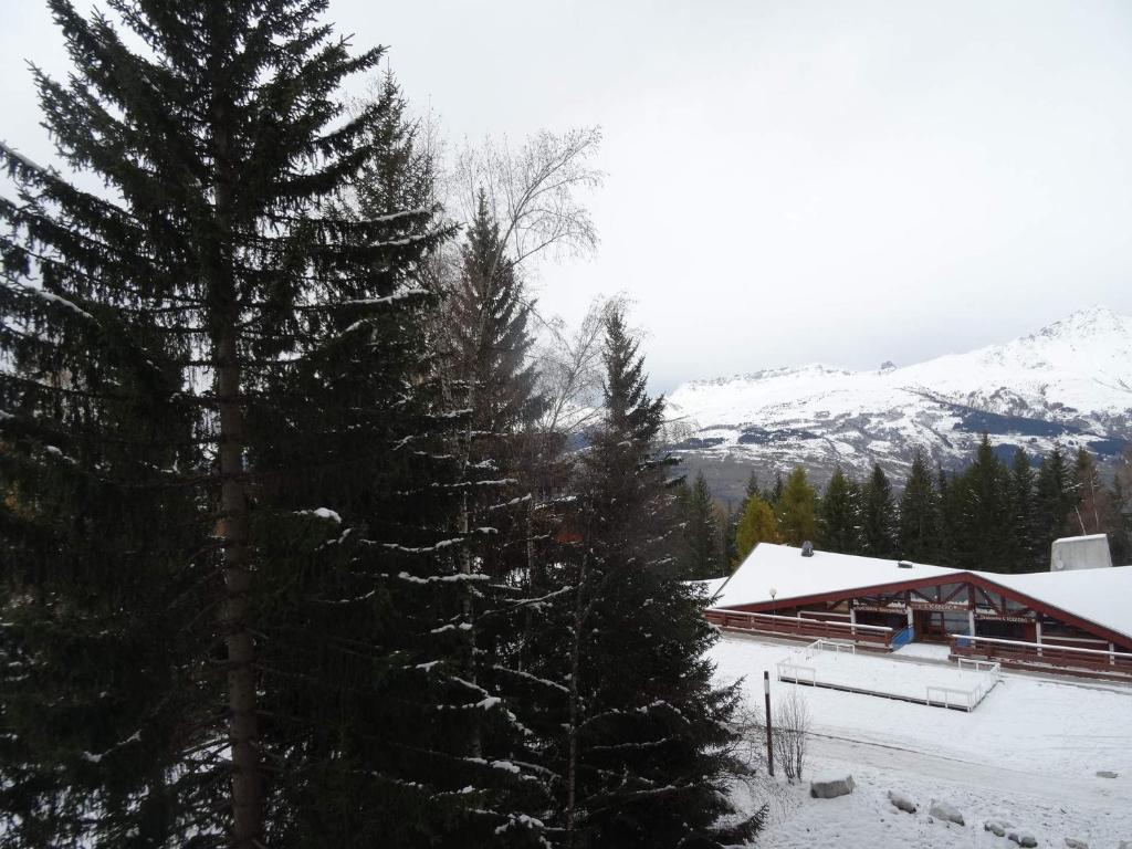 Studio skis aux pieds, 4 pers, animaux admis - Les Arcs 1800 - FR-1-411-389 - 5