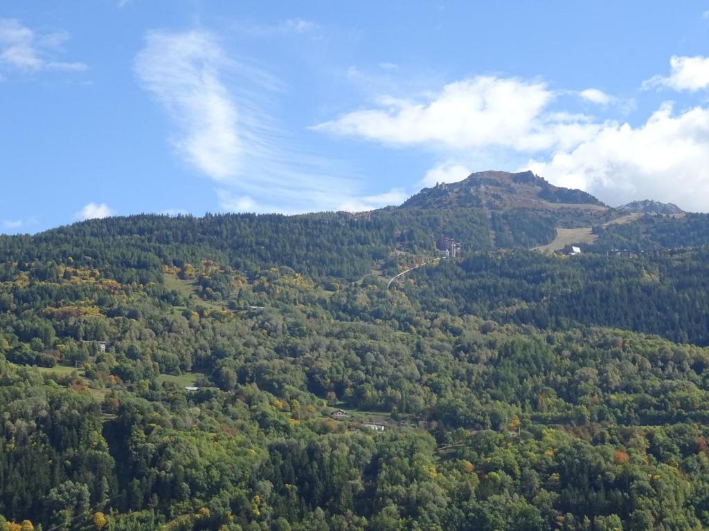Appartement 2 pièces, 4 pers. à Bourg Saint Maurice, balcon sud, animaux acceptés - FR-1-411-520 - 3