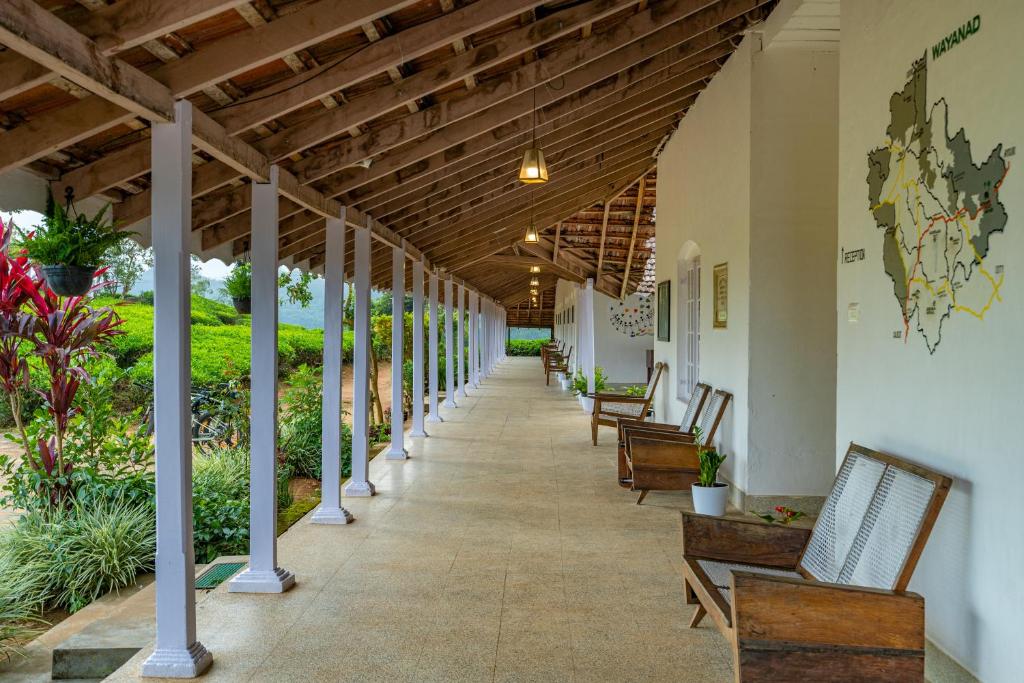 Zostel Plus Wayanad photo