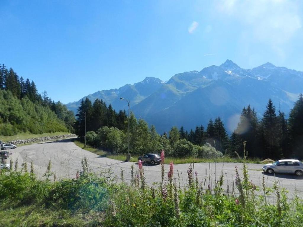 Studio 18m² pour 3 pers, proche pistes, animaux admis - 5