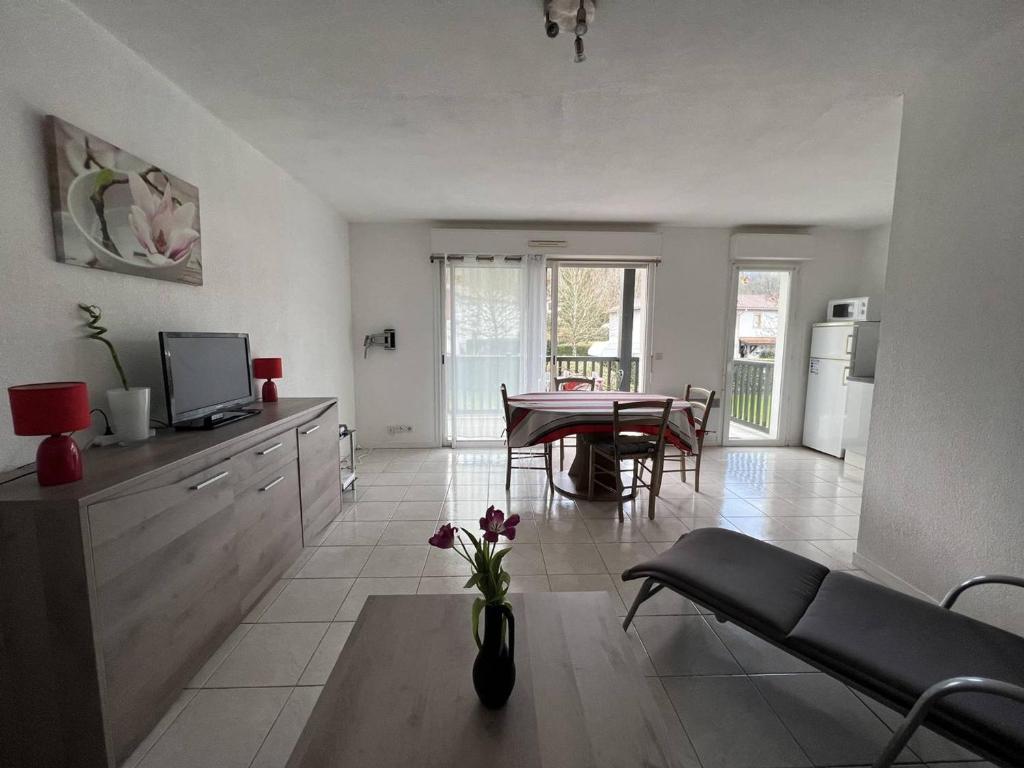 T2 bis lumineux avec terrasse, Cambo-les-Bains - 2