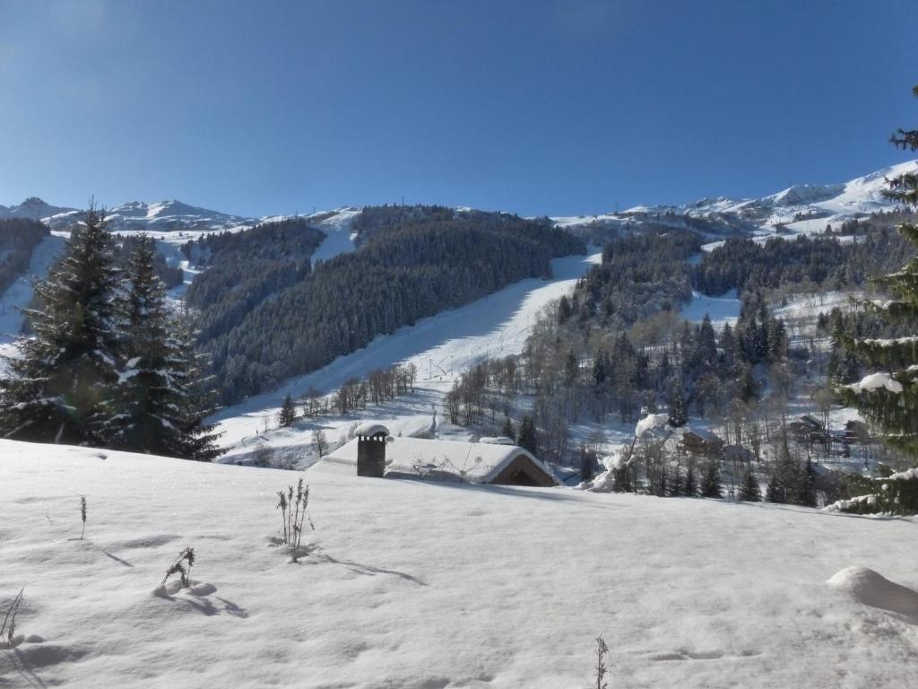 Appartement 2 pièces 4-5 pers, terrasse sud, Méribel centre, ski-in/ski-out, WIFI - FR-1-411-613 - 3