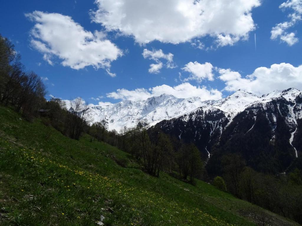 Studio 4 pers. à Plan Peisey, proche pistes, animaux admis - FR-1-411-641 - 4