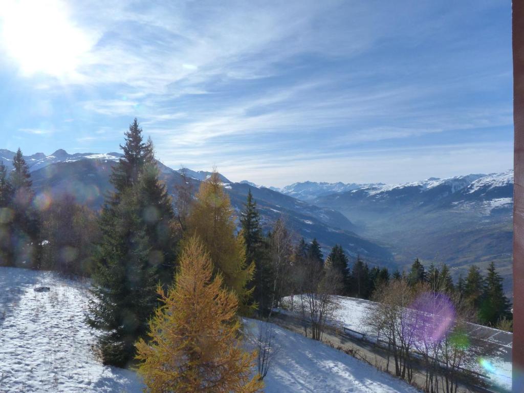 Studio 4 pers Arc 1800, animaux admis, proche pistes - FR-1-411-642 - 5