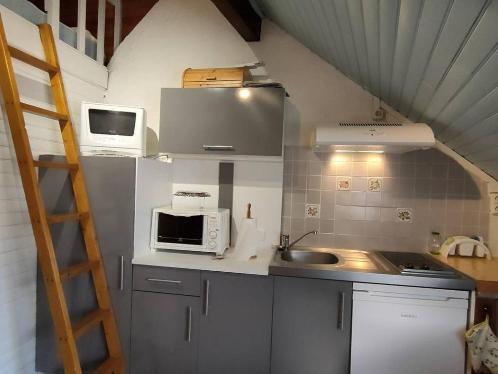 Studio 4 pers proche thermes et télécabines - FR-1-234-269 - 1