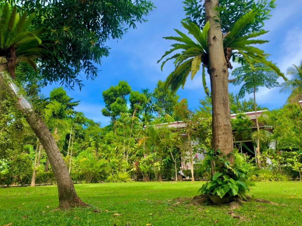 Pana Long Beach Resort - SHA Plus — Hotel in Koh Lanta