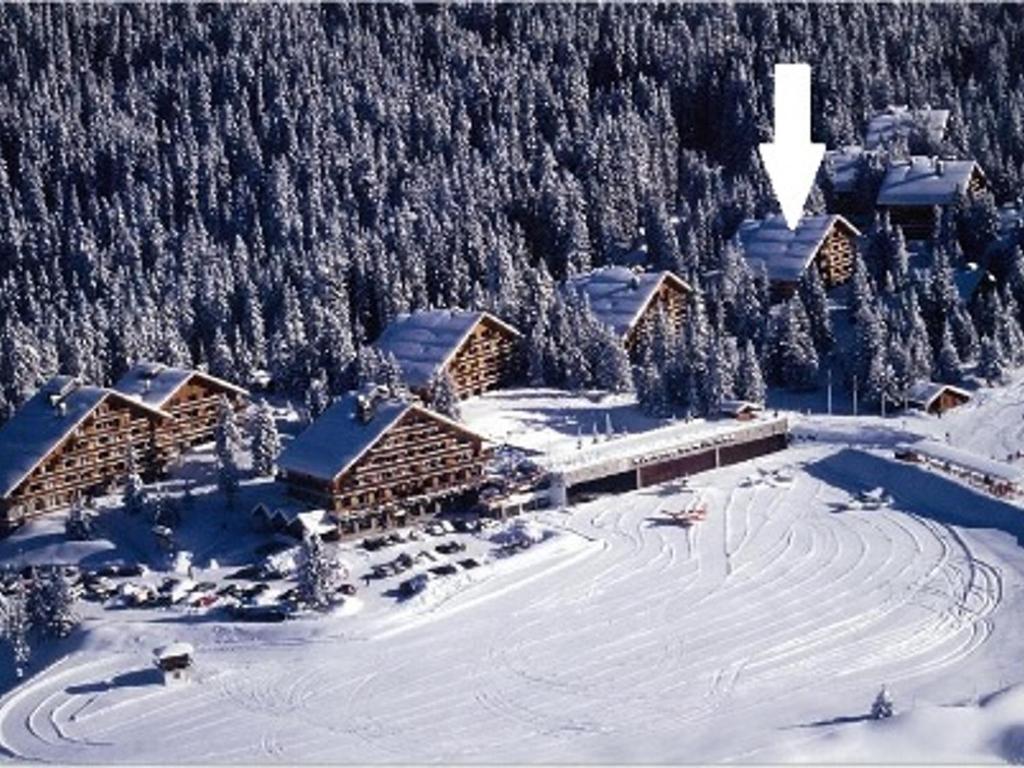 Studio 4 pers. à Méribel Altiport, pieds des pistes - FR-1-411-750 - 2