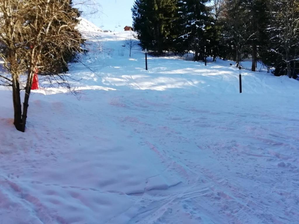 Appartement duplex 2 pièces, 6 personnes, proche pistes Arc 1800 - FR-1-411-831 - 5