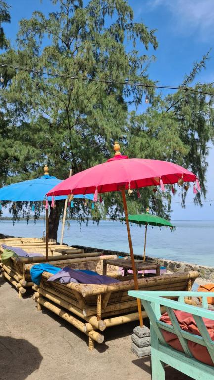 AQUARIUM MARGO Gili Air