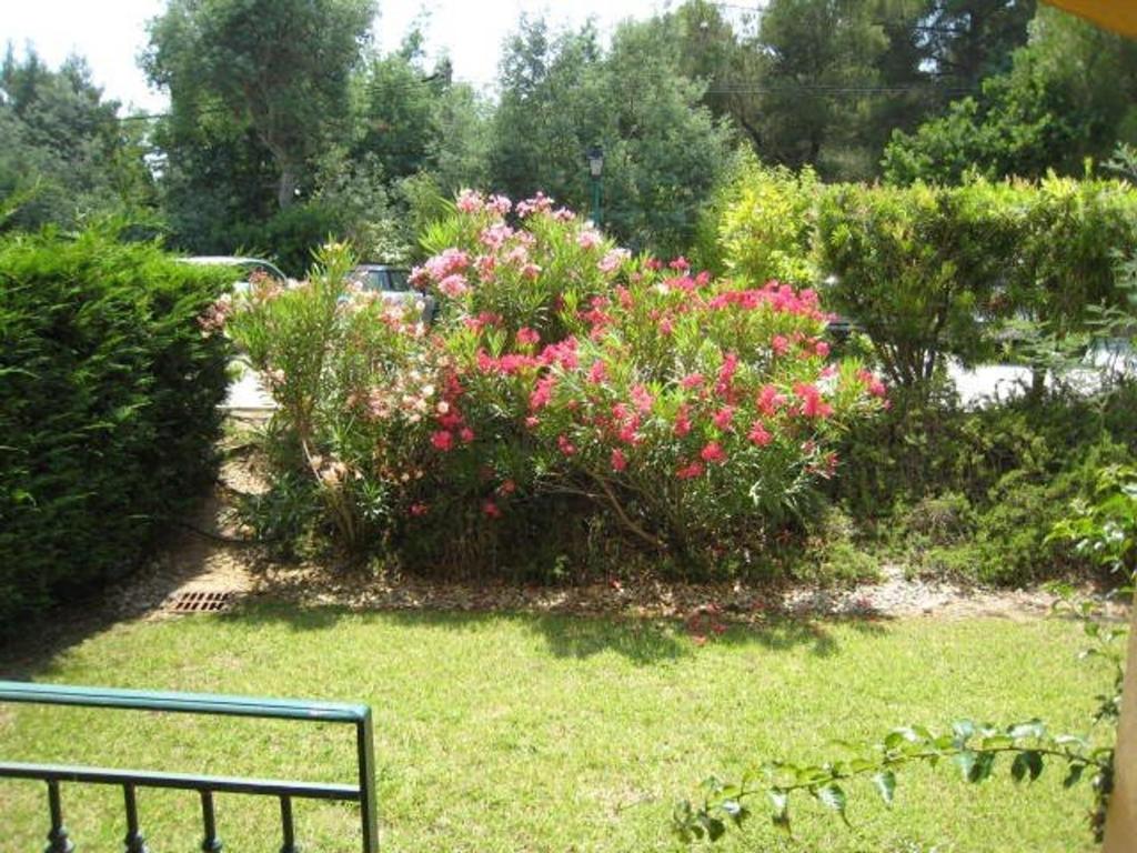 Appartement T3 avec grand jardin privé, climatisation et parking - FR-1-100-205 - 1