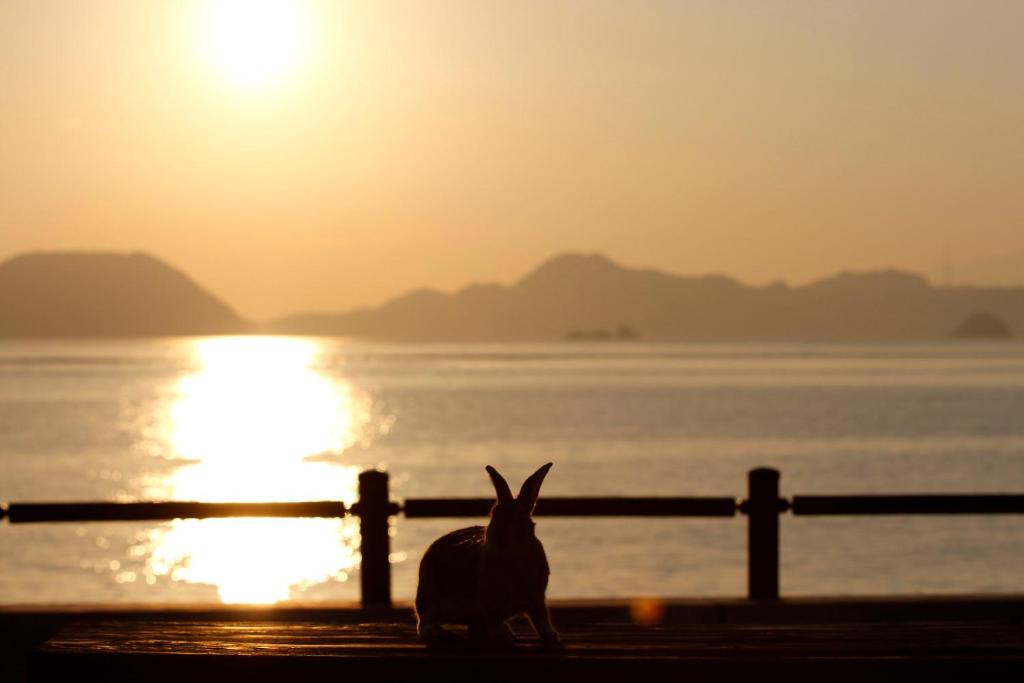 Kyukamura Ohkunoshima photo