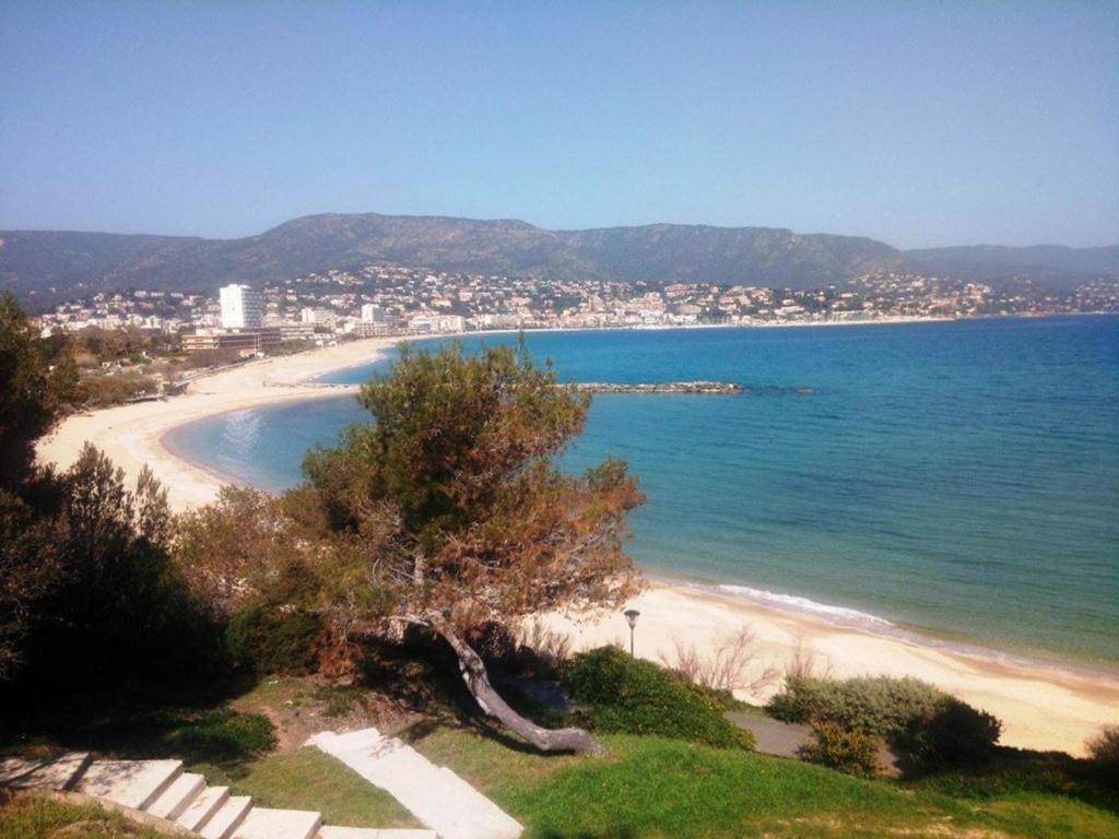 Studio face mer avec parking privé - Le Lavandou - FR-1-251-252 - 5