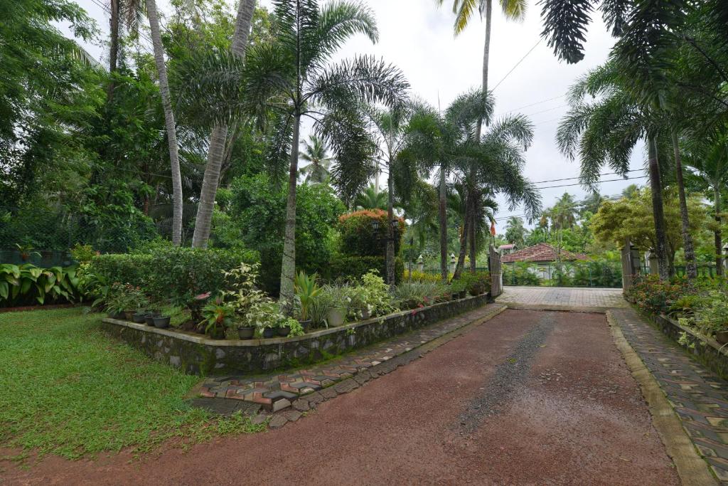Venus Resorts photo