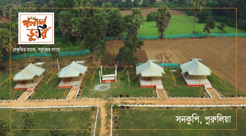 Palash Dungri — Hotel in Pratappur
