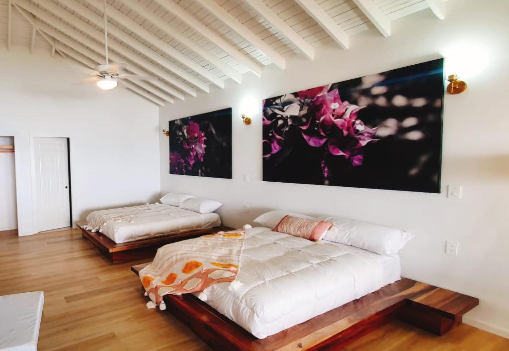 Apartments for Rent in Roatán, Honduras price from 9 of Hotels