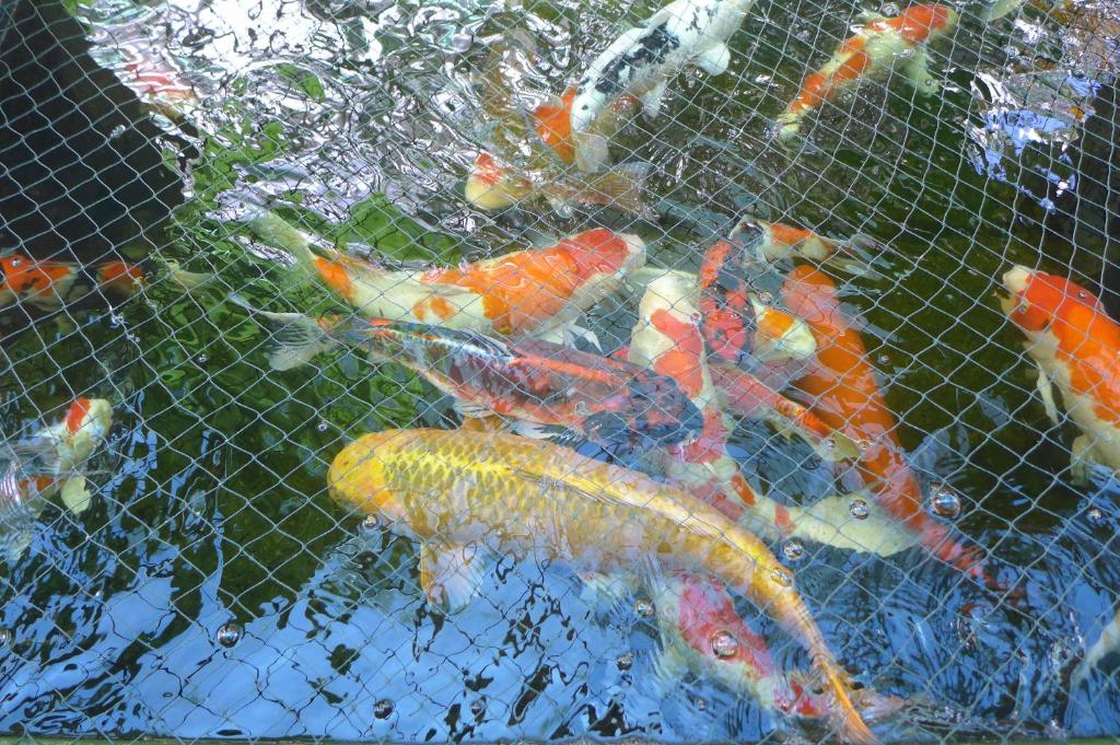 Surrounding environment