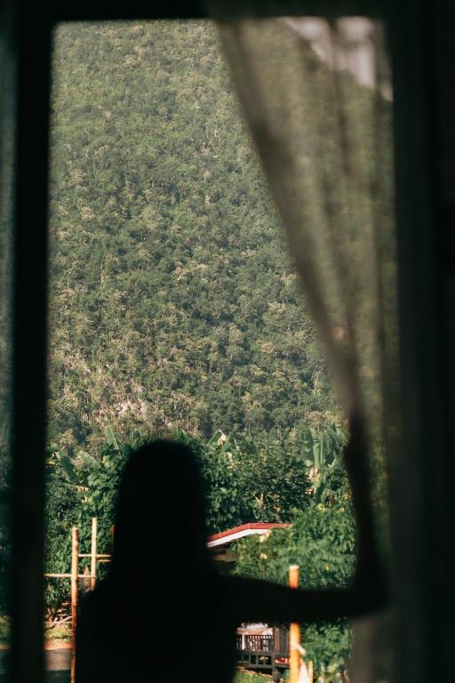 บ้านสวนภูผาโอบ (Bansuan PhuphaAop) photo