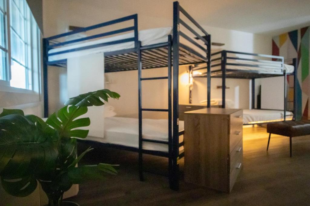 Bposhtels Orlando Florida Mall photo