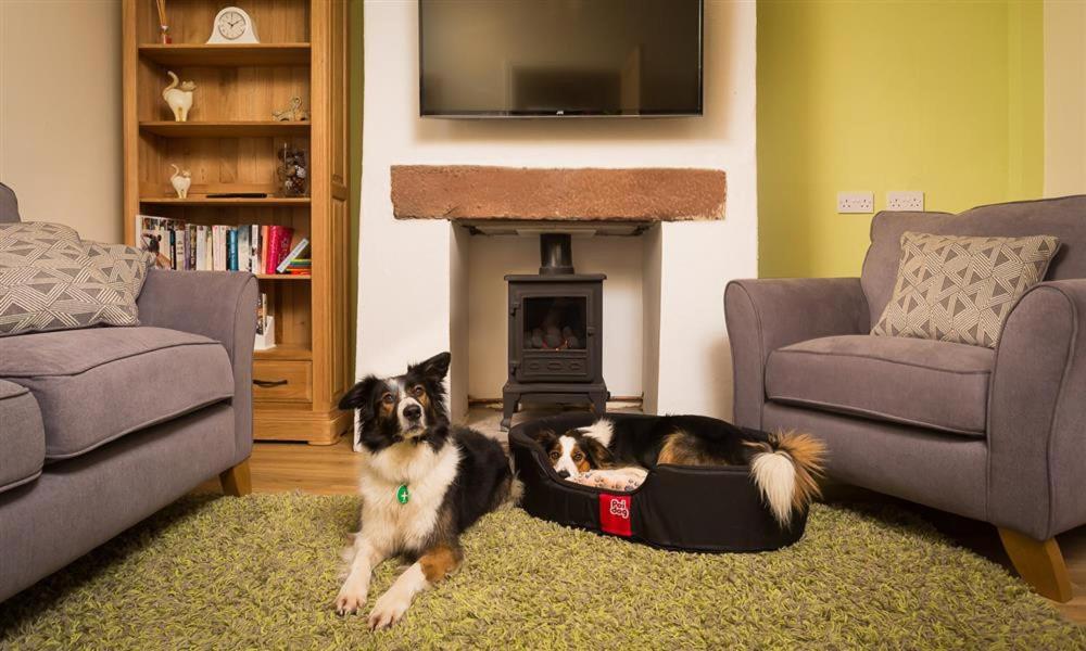 The Cats Bield, Keswick