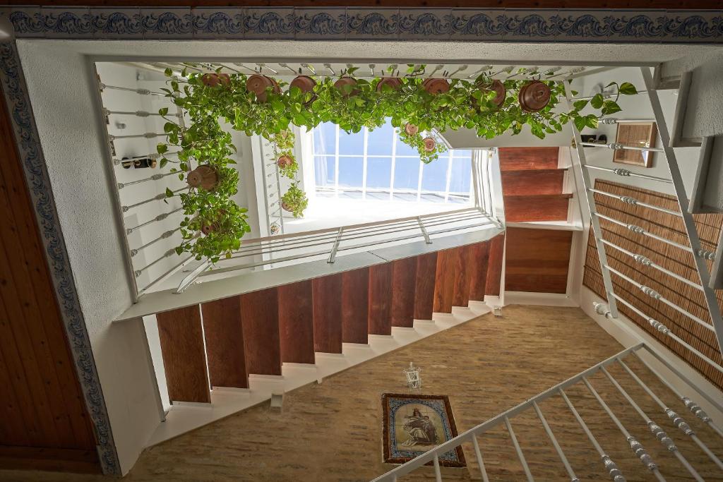 Casa Pureza - 2
