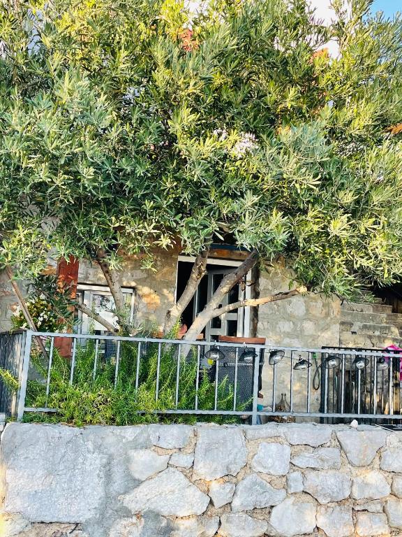 Kuća za odmor “Dida”, Stinica