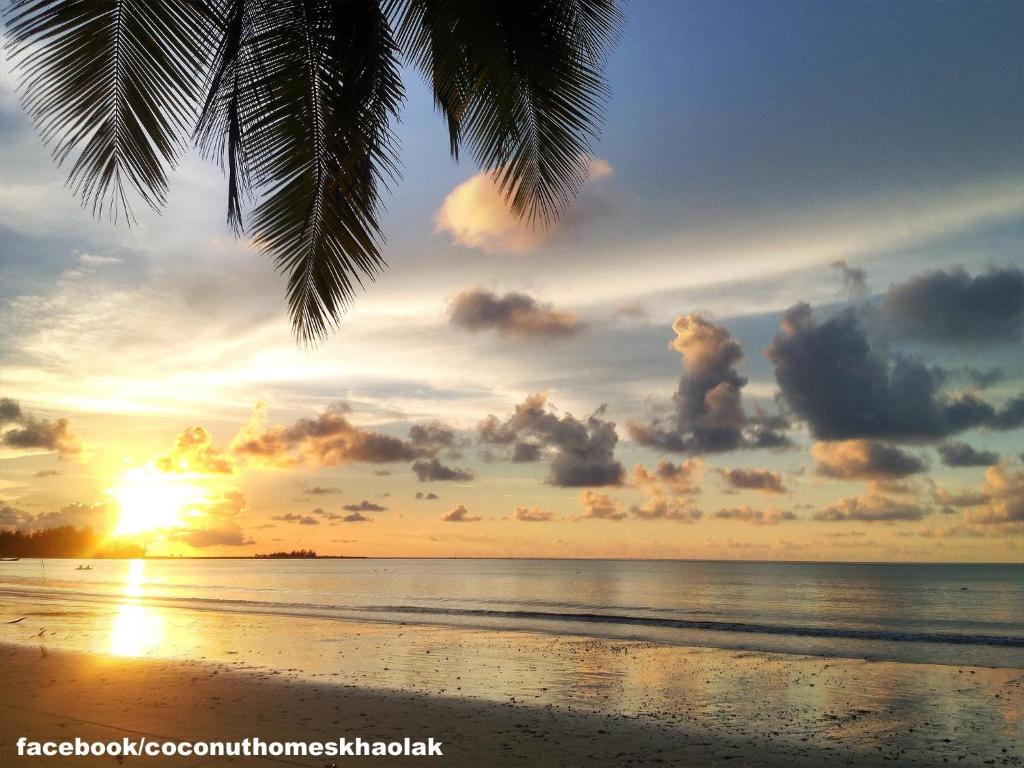 Coconut Homes Khao Lak photo