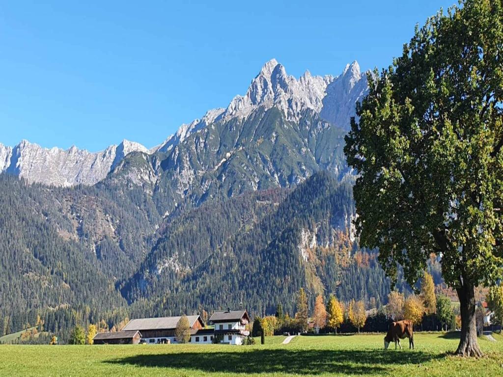 Holiday on an organic farm near ski slopes - 5