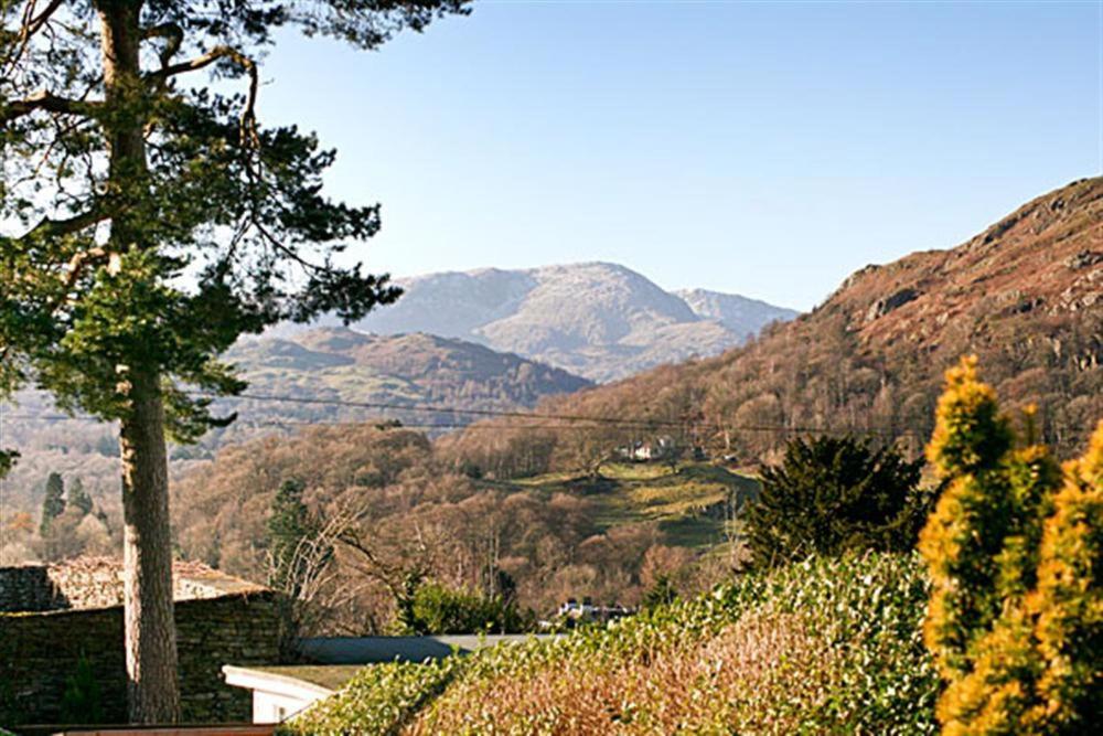 Todd Crag photo 5