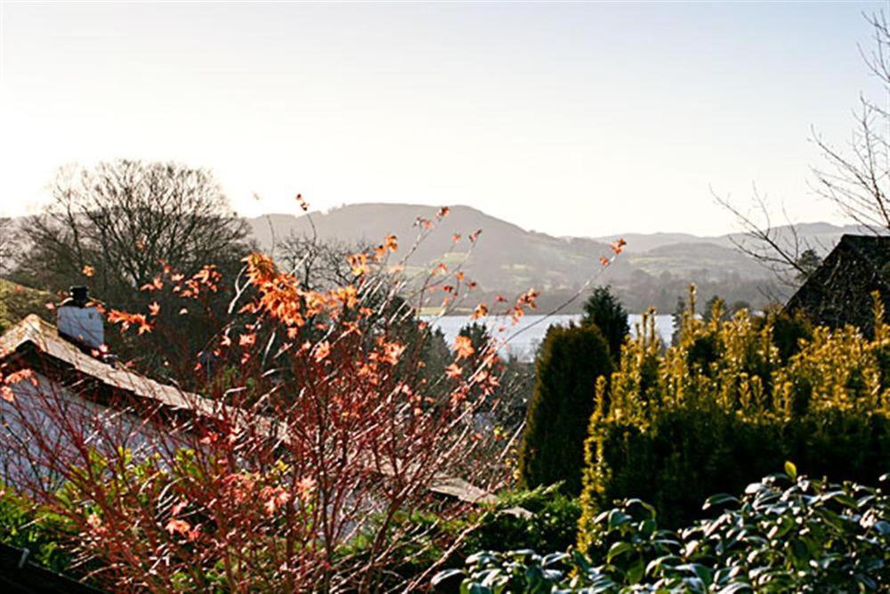 Todd Crag photo 4