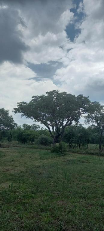 El Rancho Grande photo