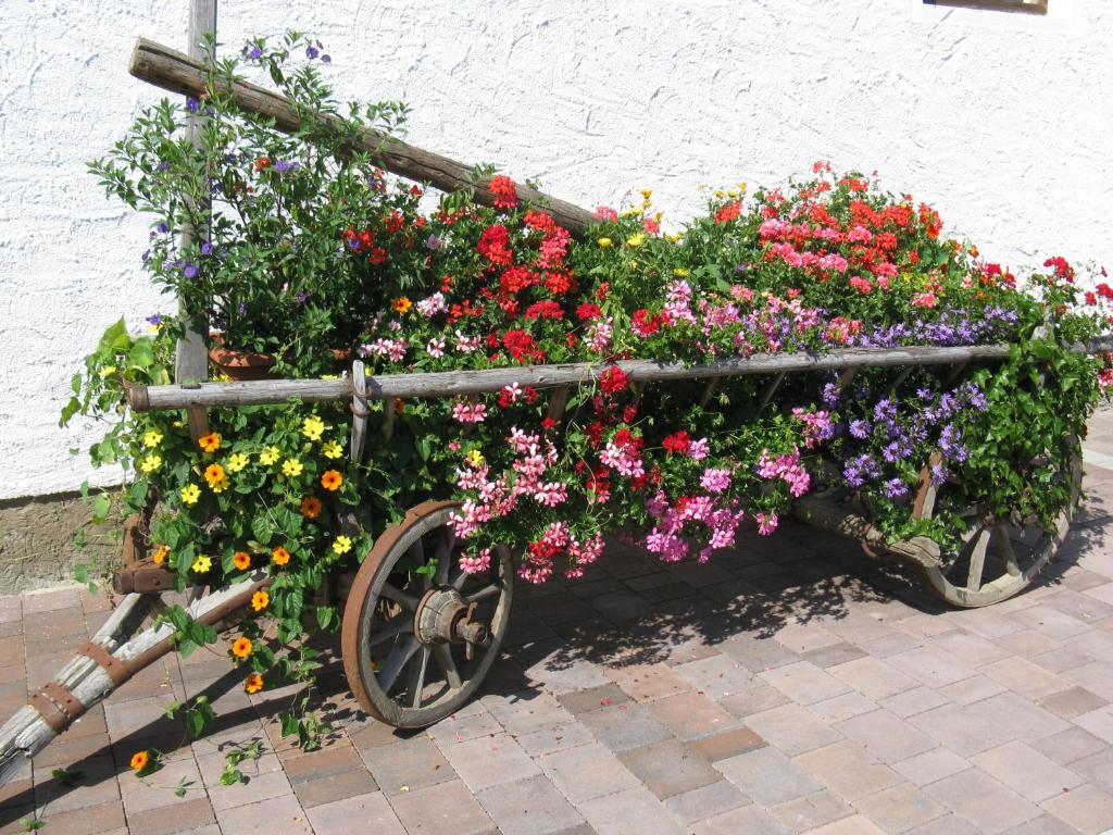 Urlaub am Kräutlhof in Mariapfarr - 5