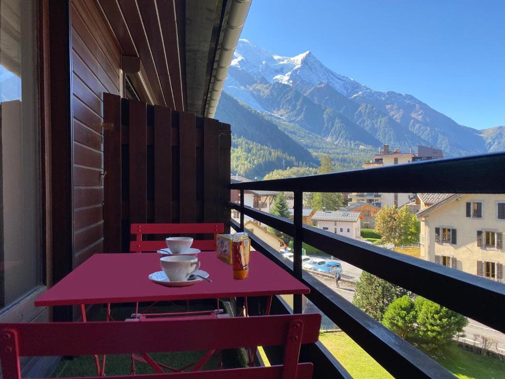 Appartement spacieux à Chamonix - 4 pers, animaux admis, parking - FR-1-343-237 - 2