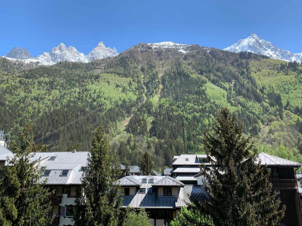 Studio à Chamonix avec balcon, 4 personnes - FR-1-343-238 - 3