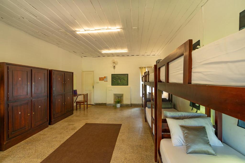 Zostel Plus Wayanad photo