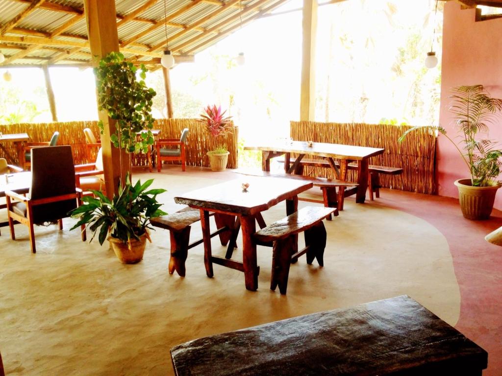 Bar/lounge, Nemasu Eco-lodge in Gunjur