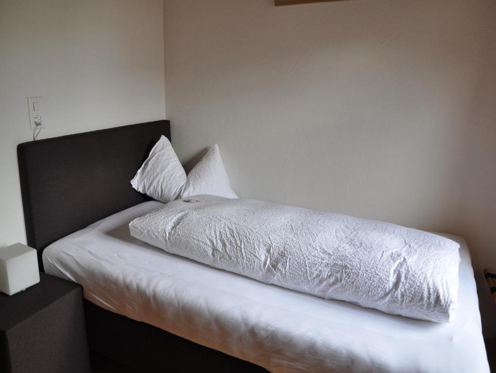 Hotel Ladina photo