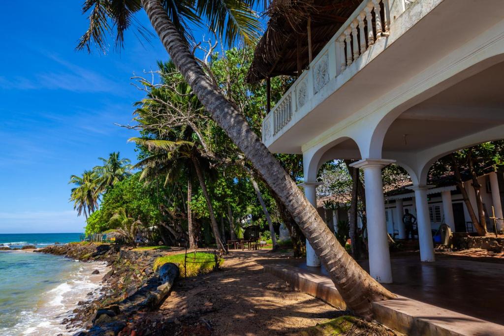 Palm Villa Mirissa photo