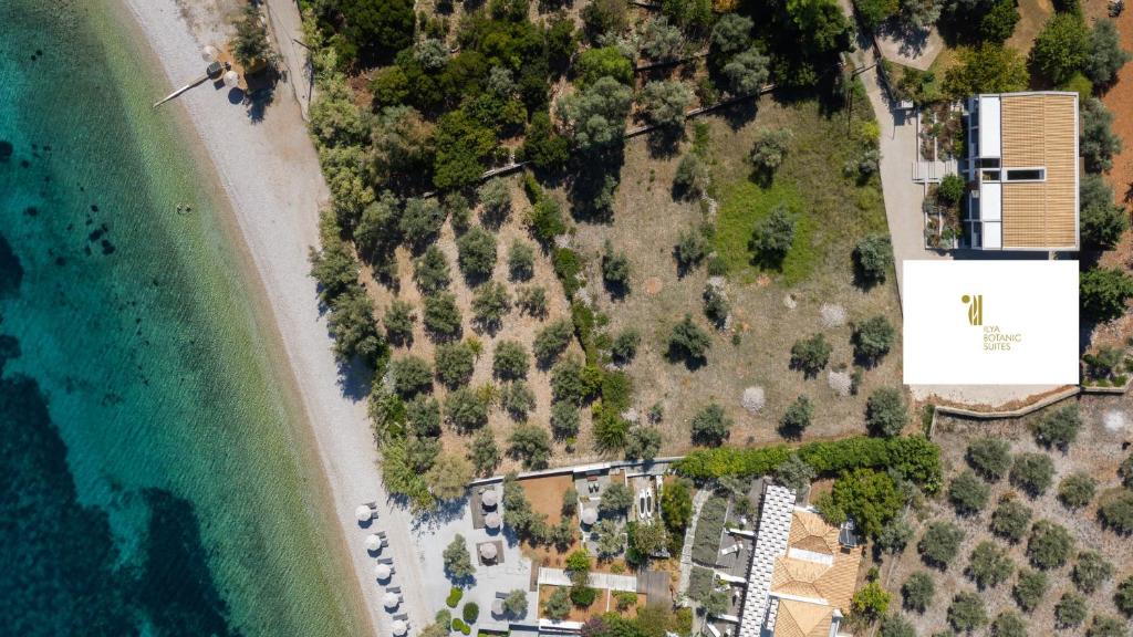 Ilya Botanic Suites & Ilya Suites By The Sea in Alonissos photo