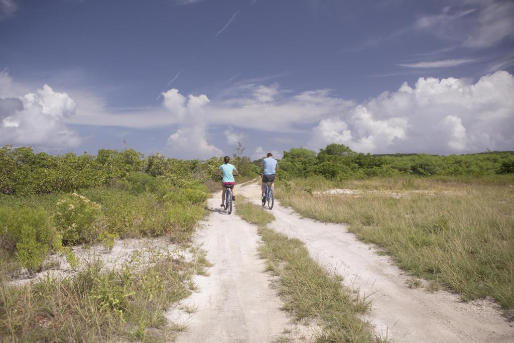 Sports and activities