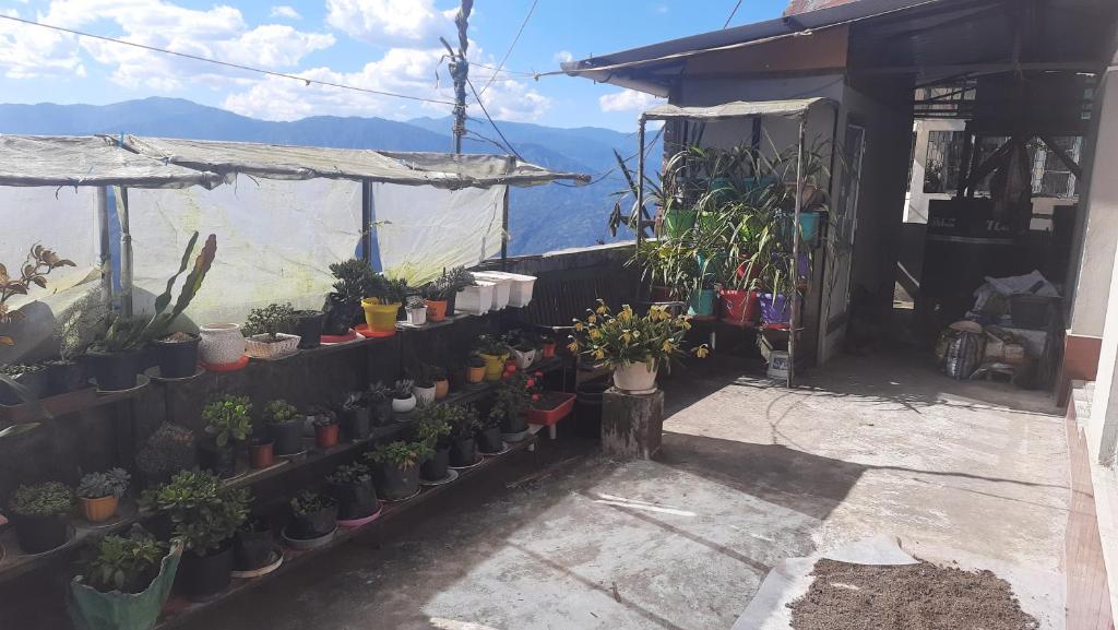 Zimbala@ Home Stay photo