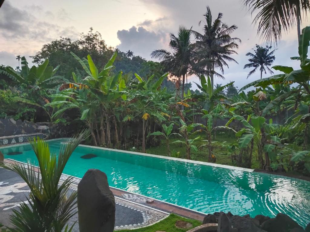 Dau Homestay photo