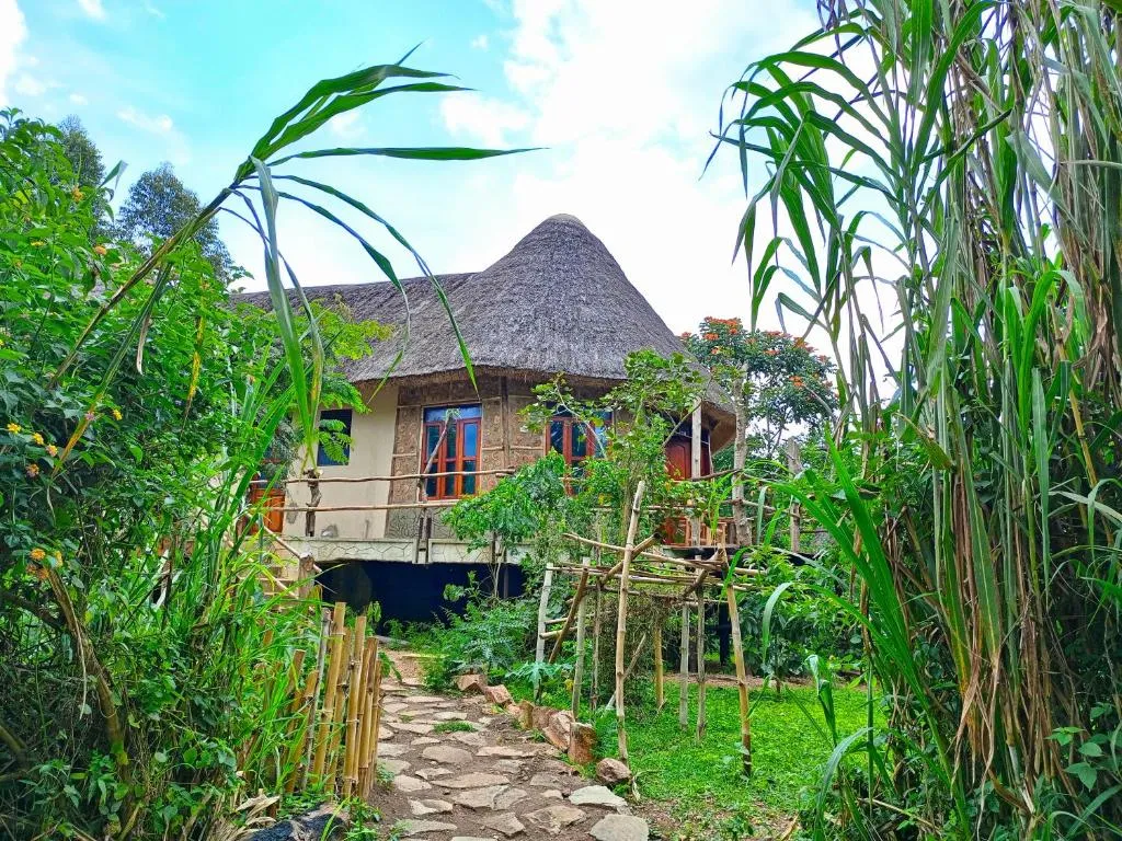 Chimpanzee Capital Safari Lodge, hotel in Bigodi