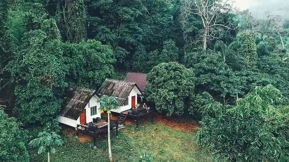 Jungle guest house, hotel v destinaci Mae Hong Son