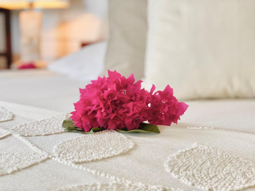 Chalets Bougainville photo