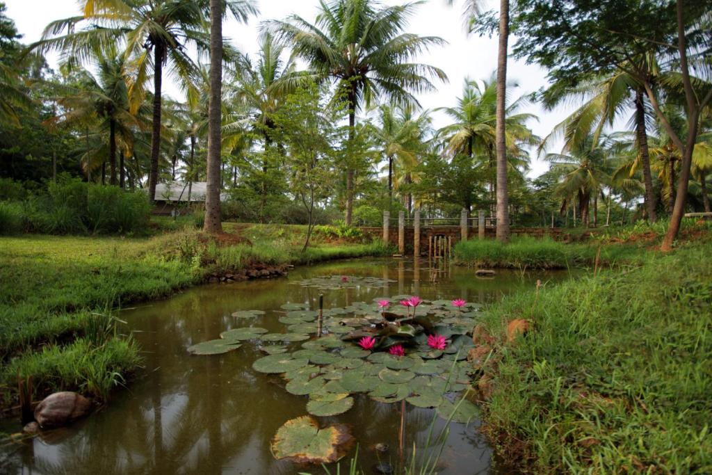Facilities
