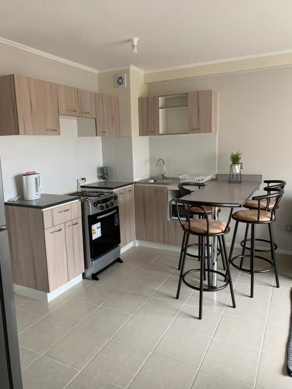 Departamento arriendo diario o año corrido! - 2