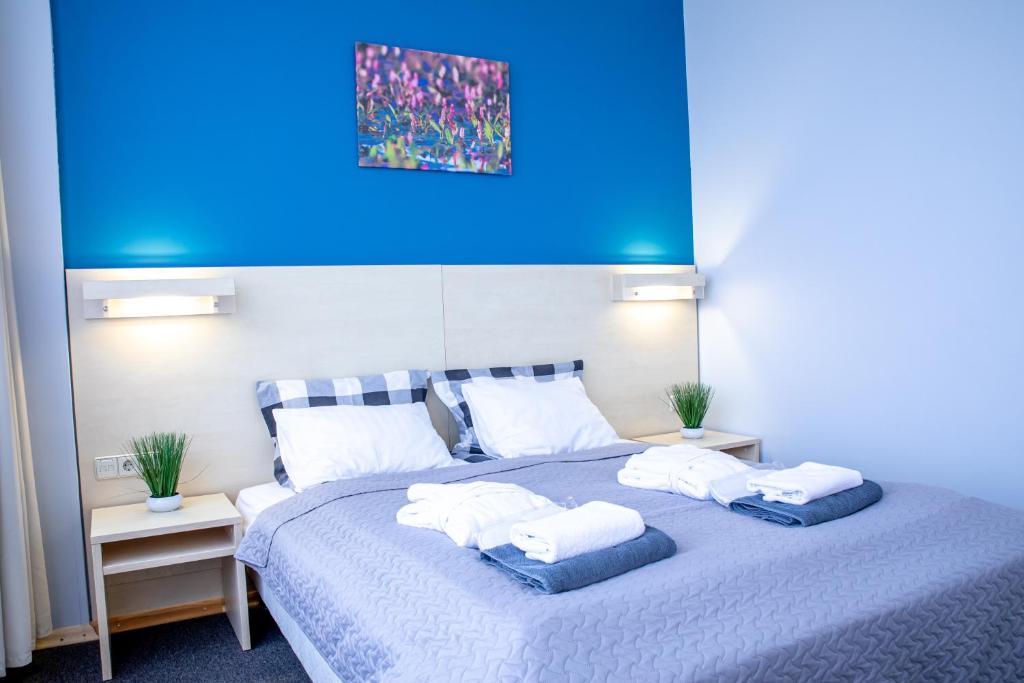Rija Bauska Hotel — Hotel in Bauska