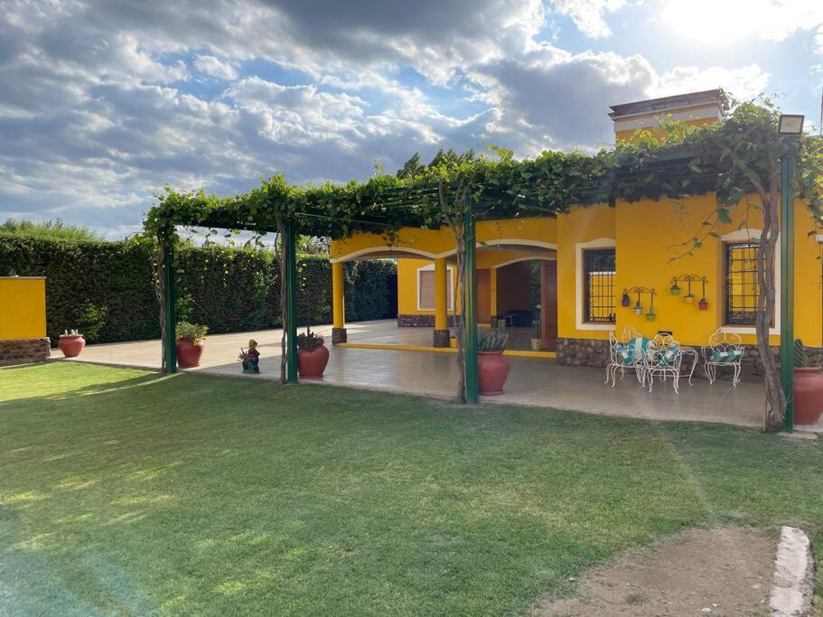 Yellow House - 1