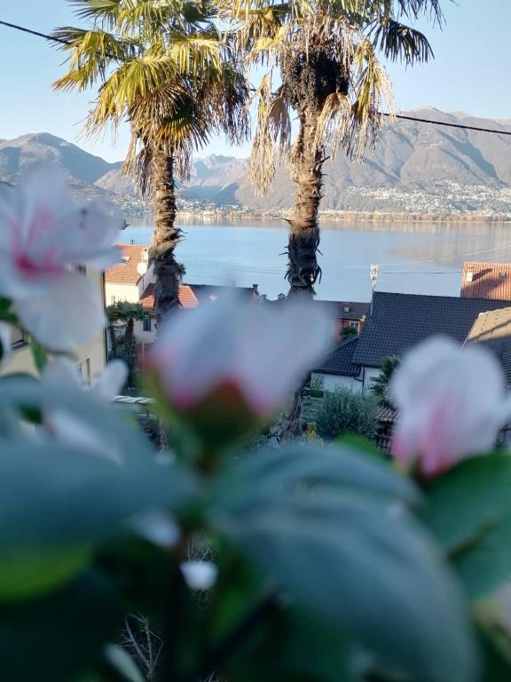 Surrounding environment